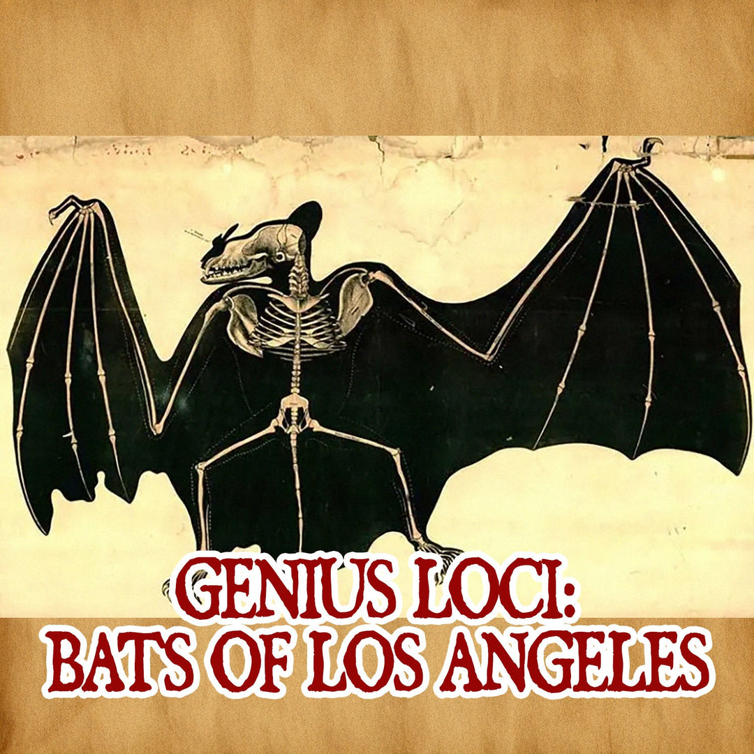 Genius Loci: Bats of Los Angeles