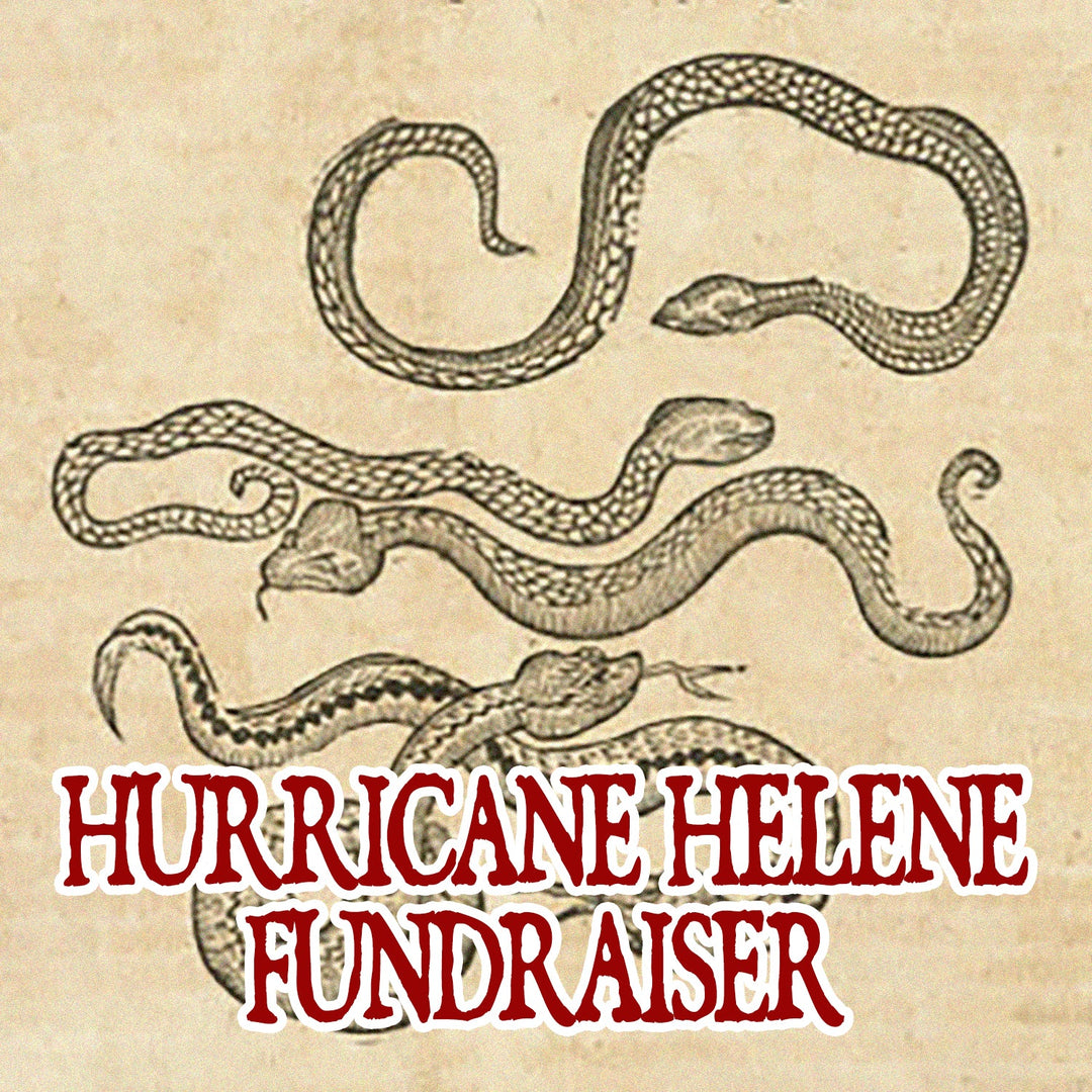 Hurricane Helene Fundraiser
