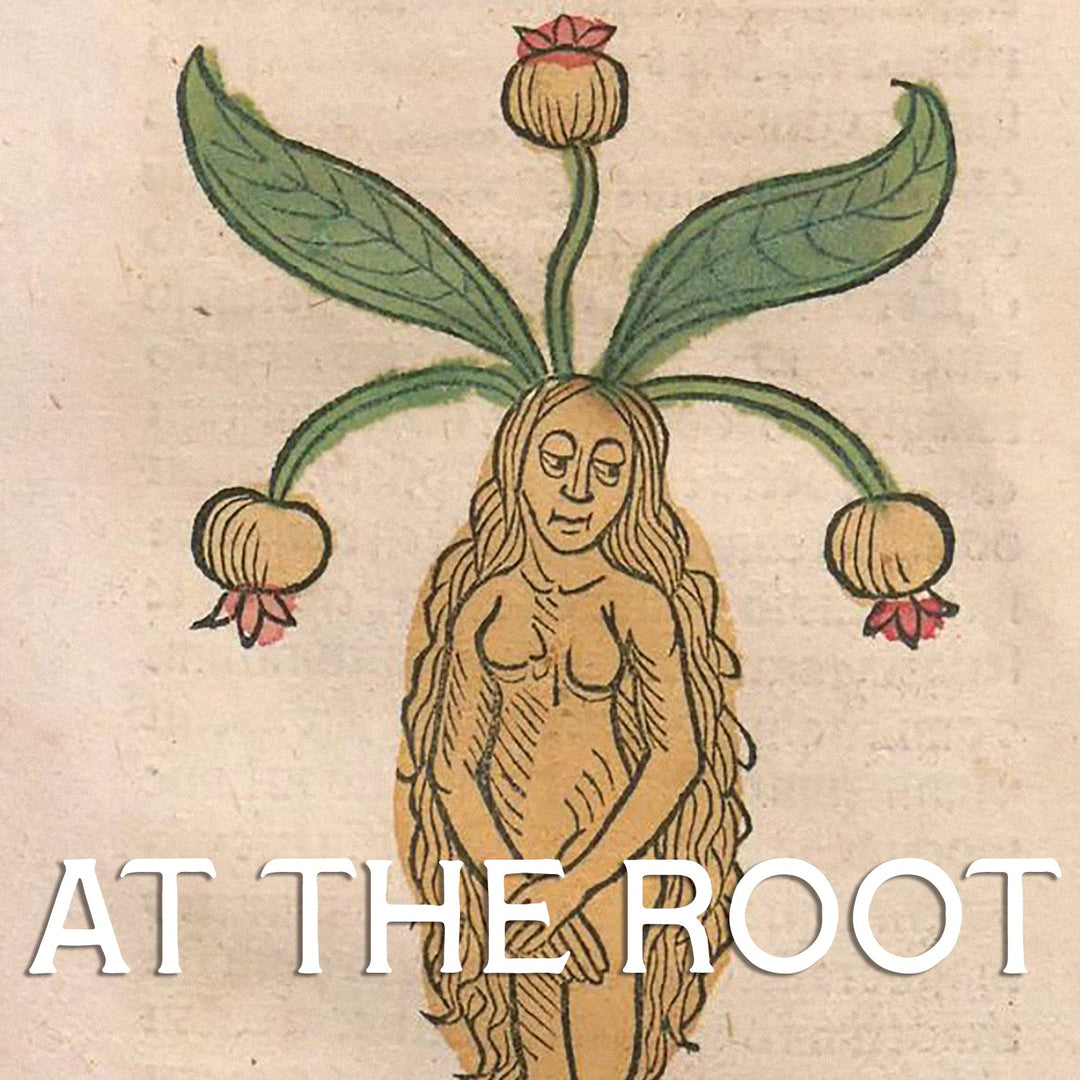 At The Root