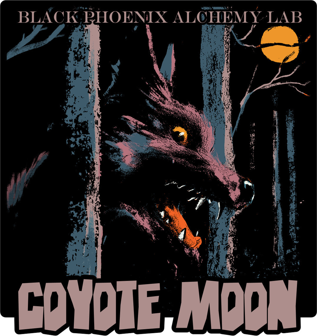 Coyote Moon: February 2026