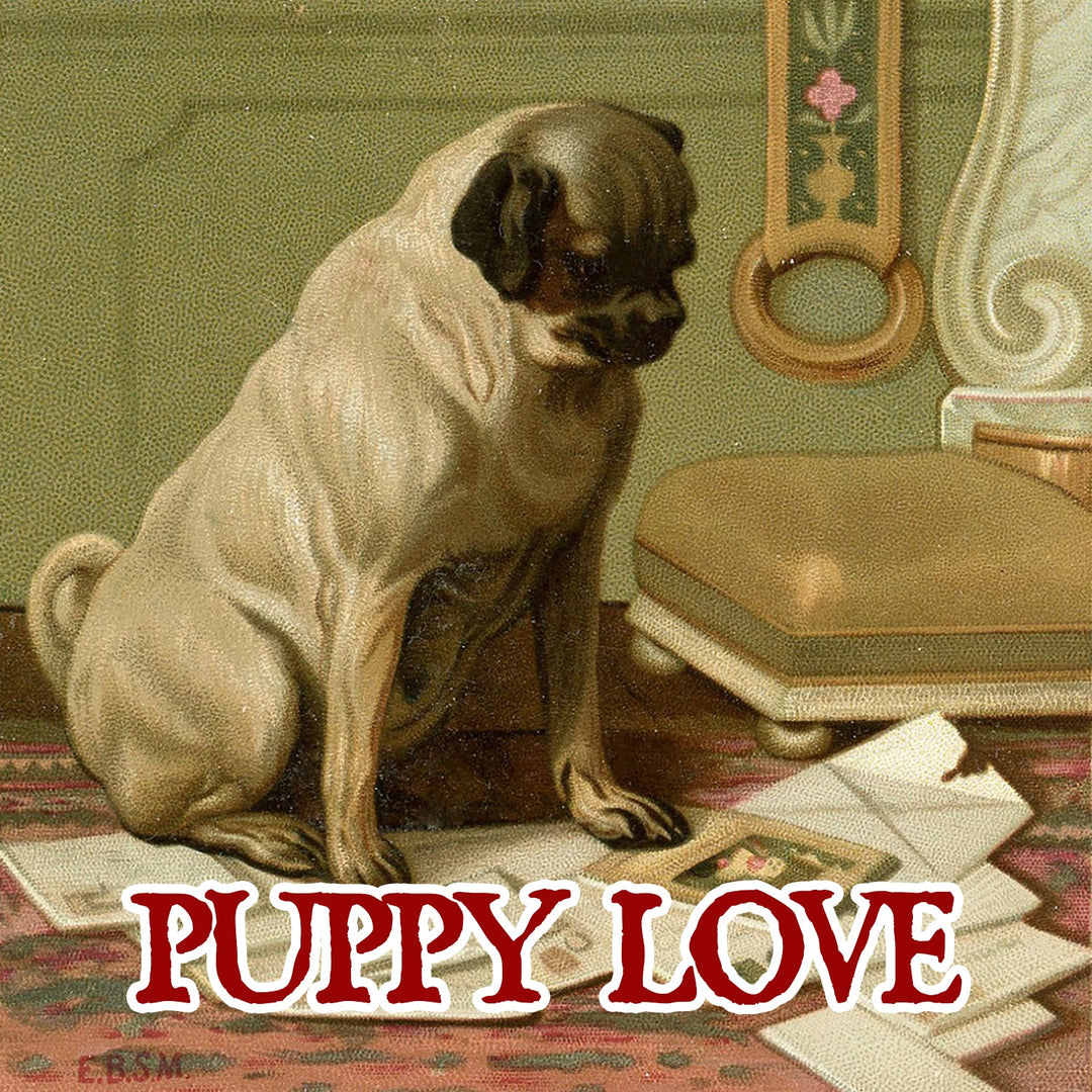 Puppy Love