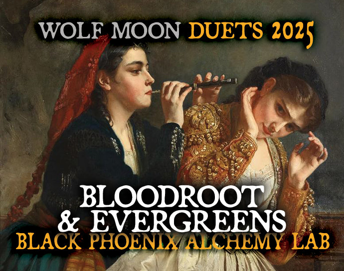 Wolf Moon: Bloodroot &amp;amp; Evergreens Perfume Oil