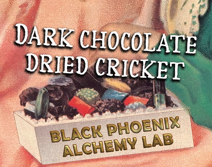Dark Chocolate Dried Cricket Perfume Oil