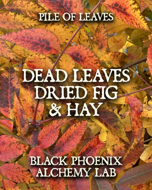 Dead Leaves, Dried Fig, and Hay Atmosphere Spray