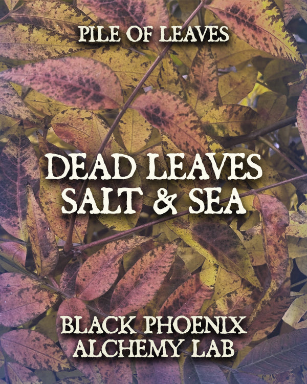 Dead Leaves, Salt, and Sea Atmosphere Spray