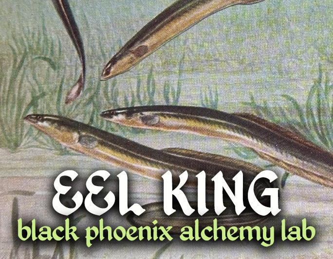 Eel King Perfume Oil