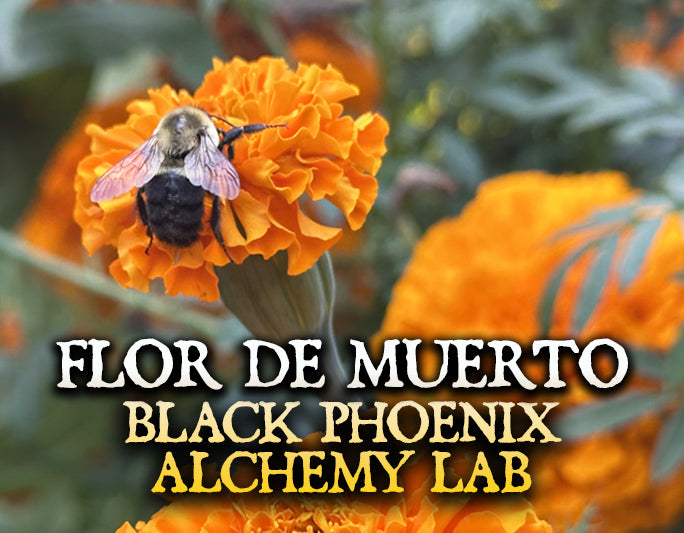 Flor de Muerto Perfume Oil