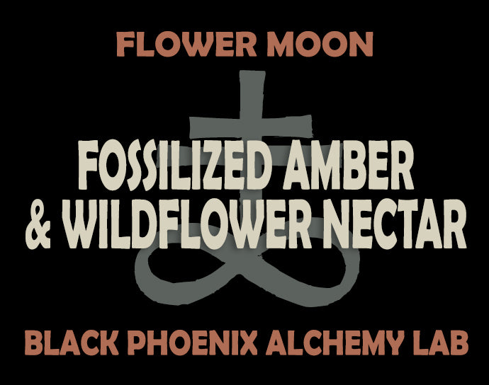 Flower Moon: Fossilized Amber and Wildflower Nectar Perfume Oil