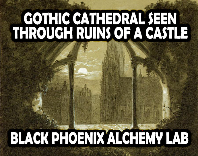 Gothic Cathedral Seen Through Ruins of a Castle