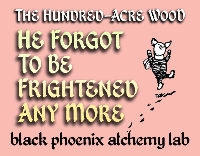He Forgot To Be Frightened Any More Perfume Oil