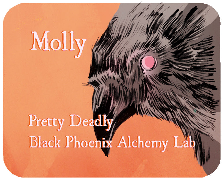 Mouse pad with a black bird illustration and text &
