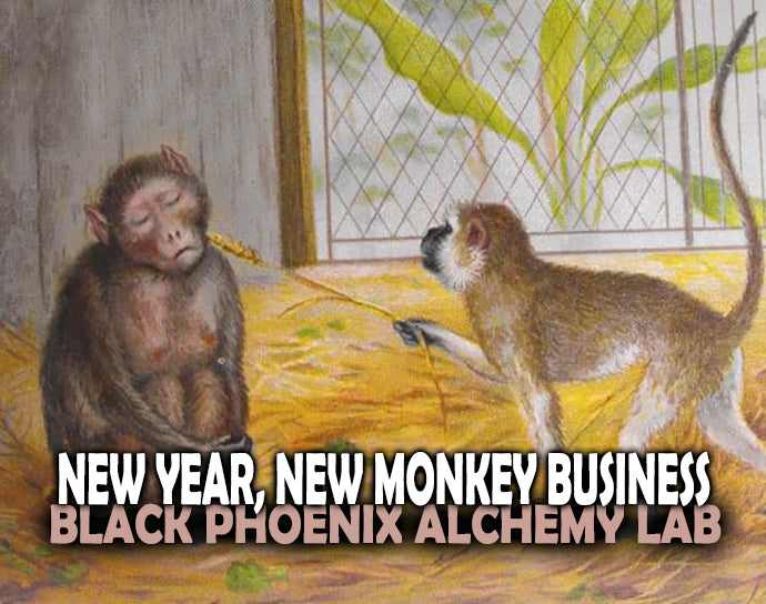 New Year, New Monkey Business Perfume Oil