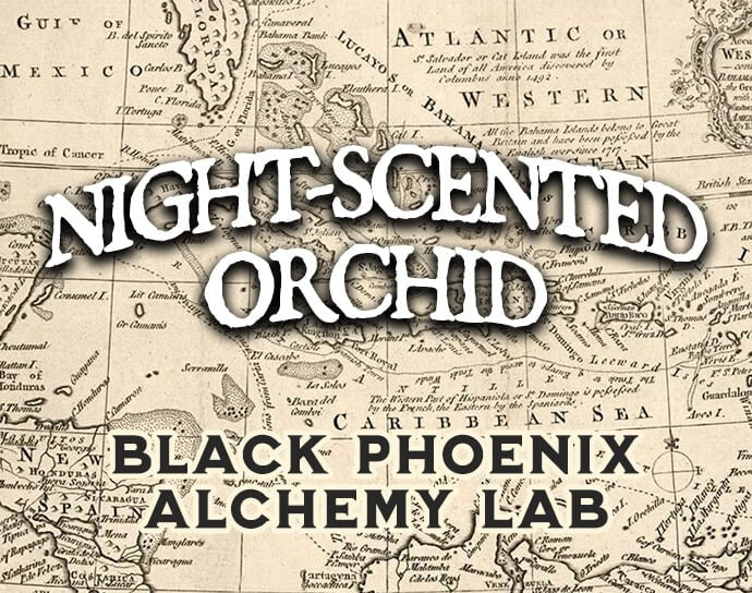 Night-Scented Orchid Perfume Oil