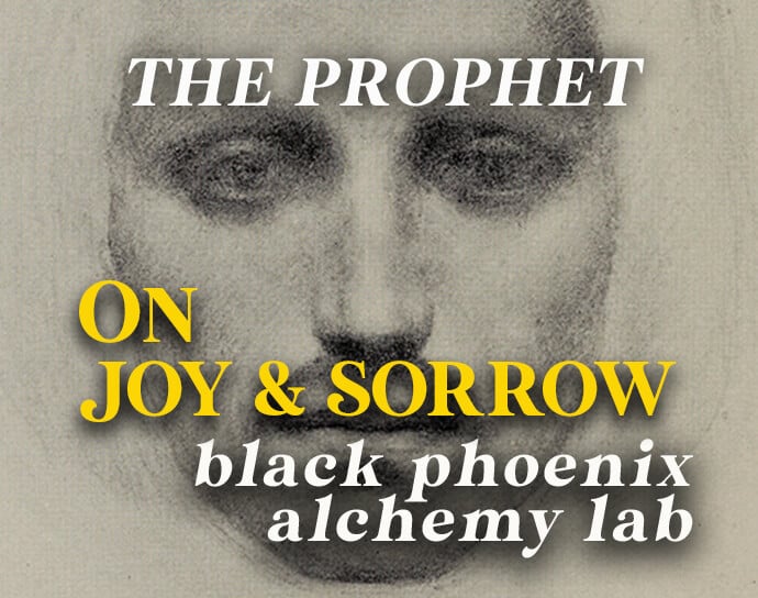 On Joy &amp; Sorrow Perfume Oil