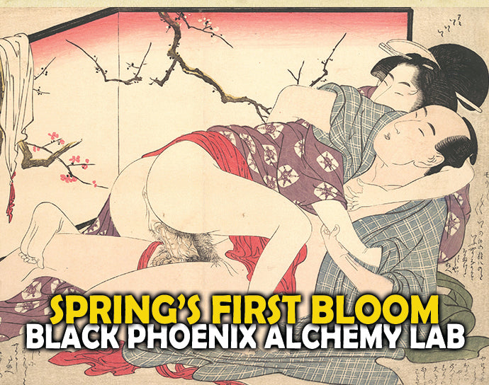 Spring’s First Bloom Perfume Oil