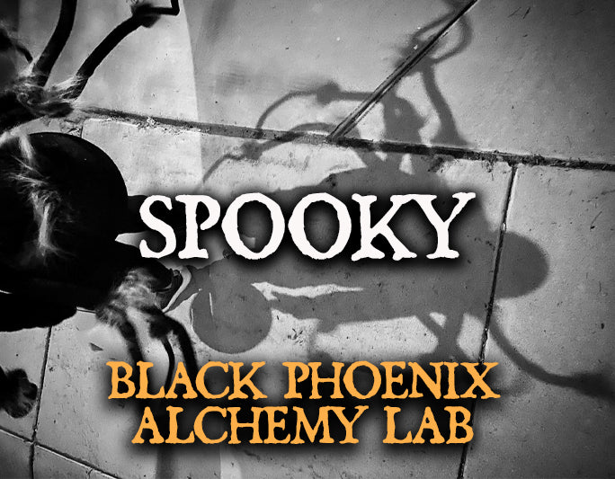 Spooky 2025 Perfume Oil