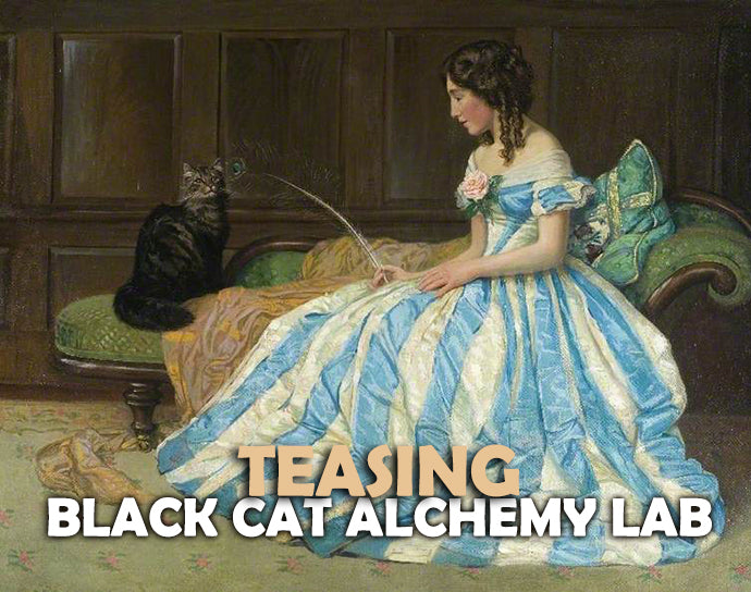 Woman in a blue and white dress sitting on a couch with a black cat, text overlay &