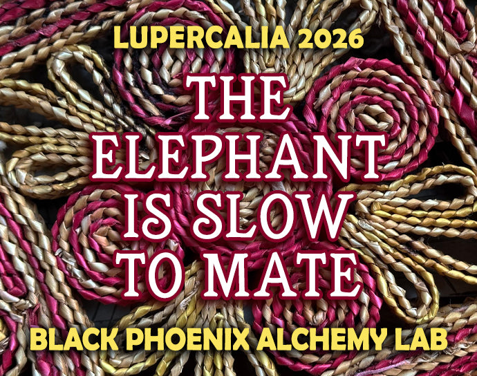 The Elephant is Slow to Mate 2026 Perfume Oil