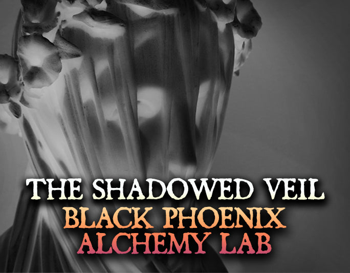 The Shadowed Veil 2025