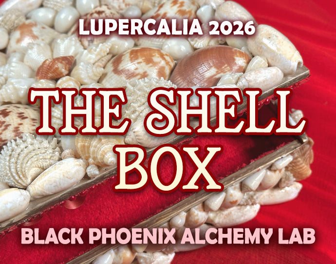 The Shell Box 2026 Perfume Oil