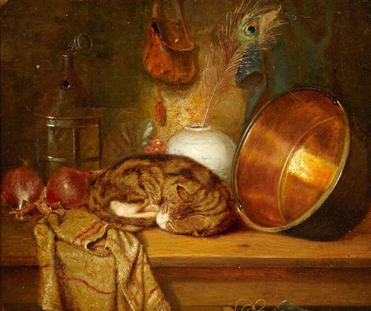 this image is decorative