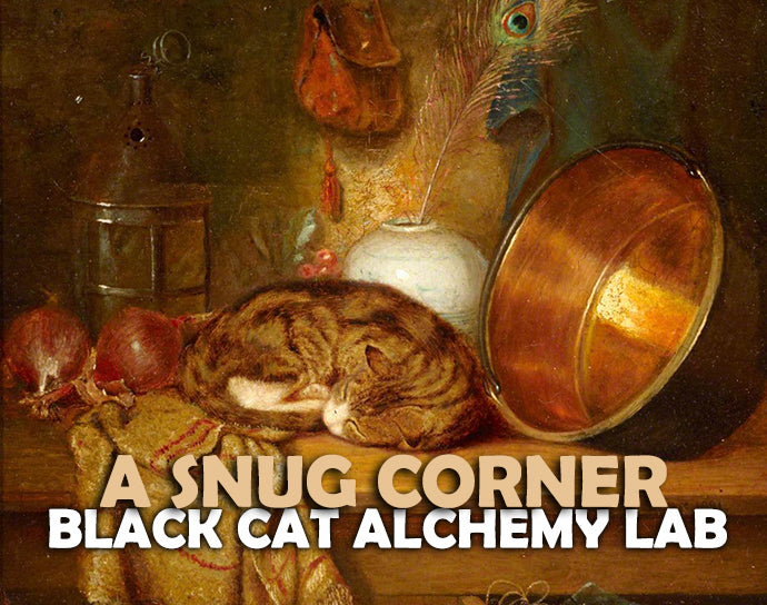 Still life painting with a cat, birds, and alchemy tools, featuring text &