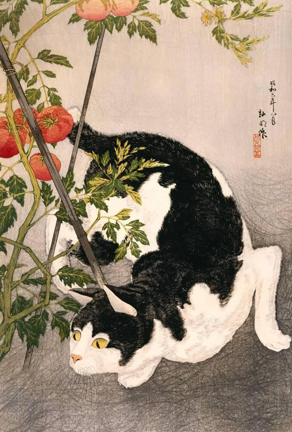 this image is decorative