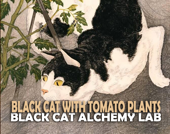 Black Cat With Tomato Plants Perfume Oil