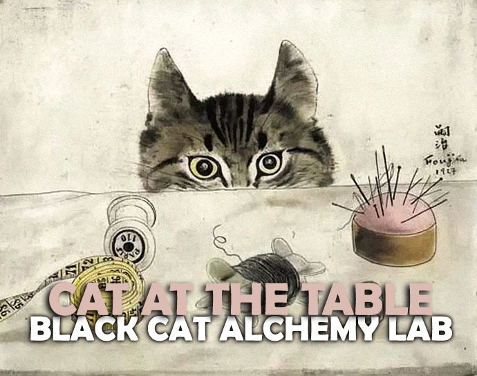 Illustration of a cat at a table with alchemy symbols and text &