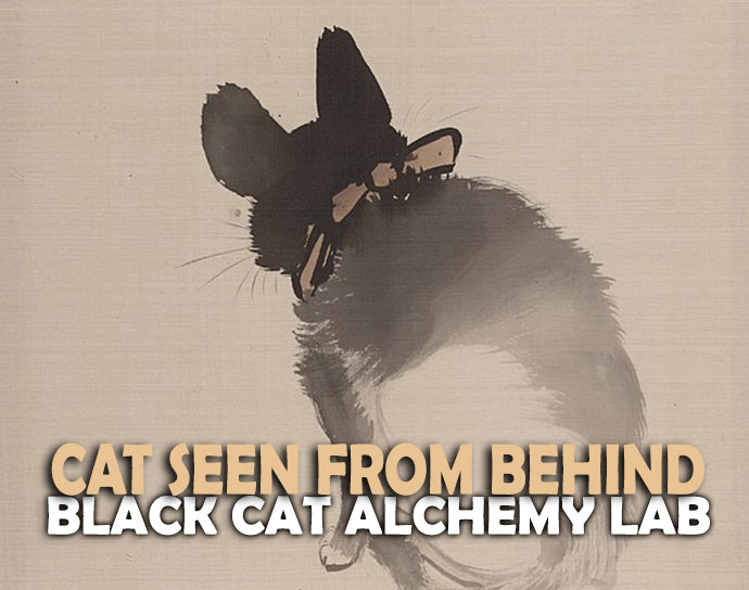 Illustration of a cat seen from behind with text 'Cat Seen from Behind Black Cat Alchemy Lab' on a beige background