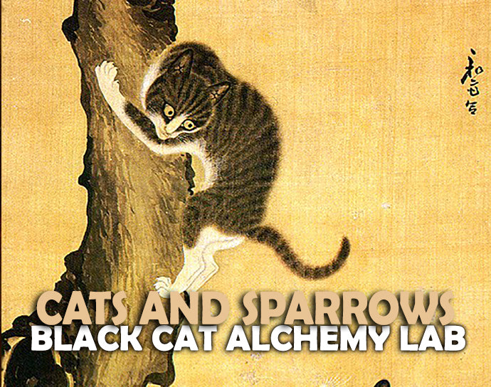Cats and Sparrows Perfume Oil