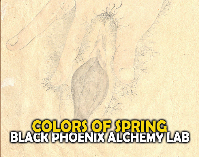 Colors of Spring Perfume Oil
