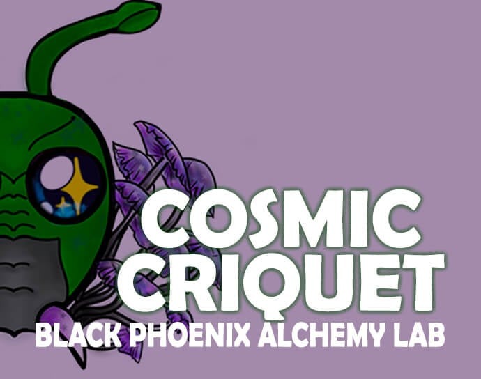 Cosmic Criquet Perfume Oil