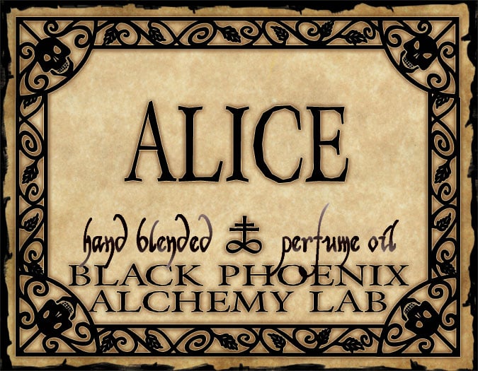 Beloved Favorites & Sample Sets