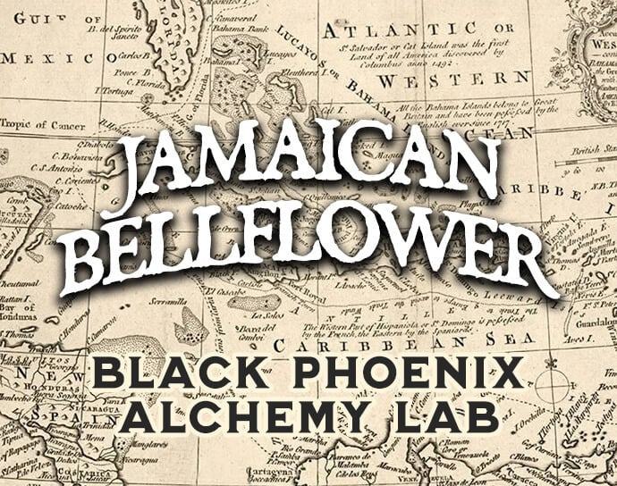 Jamaican Bellflower Perfume Oil
