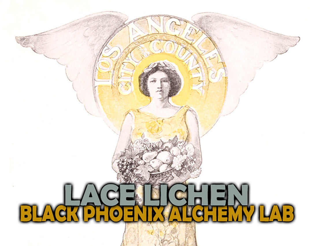 Lace Lichen Perfume Oil