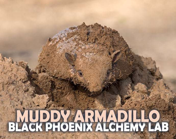 Muddy Armadillo Perfume Oil