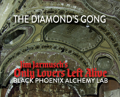 Decorative ceiling with intricate designs and text overlay 'The Diamond's Gong' and 'Only Lovers Left Alive'.