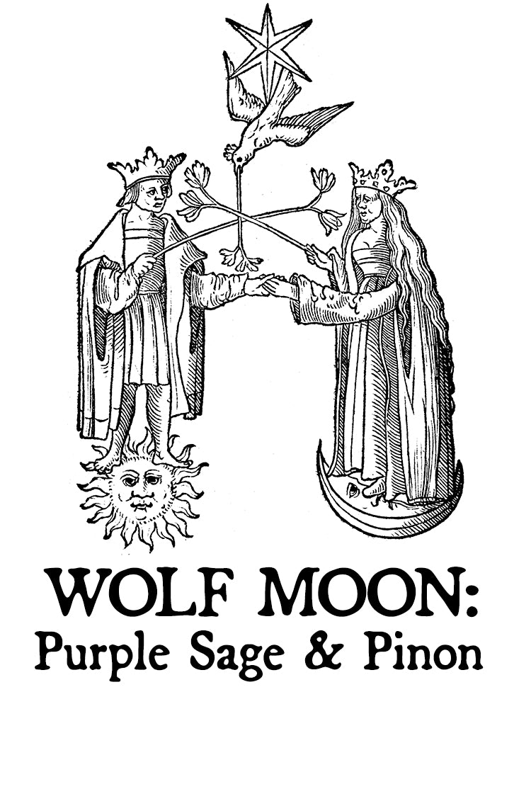 Wolf Moon: Purple Sage &amp;amp; Pinon Hair Gloss