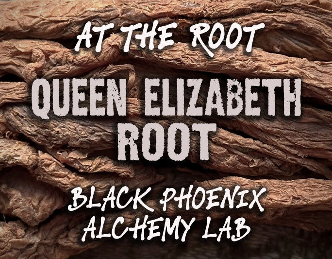 Queen's Root Queen Elizabeth Root Perfume Oil – Black Phoenix Alchemy Lab