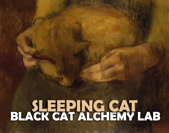 Artistic depiction of a cat being held with text &