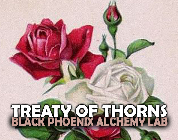 Treaty of Thorns Perfume Oil
