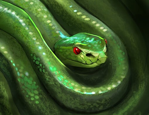 Green Tree Viper Perfume Oil
