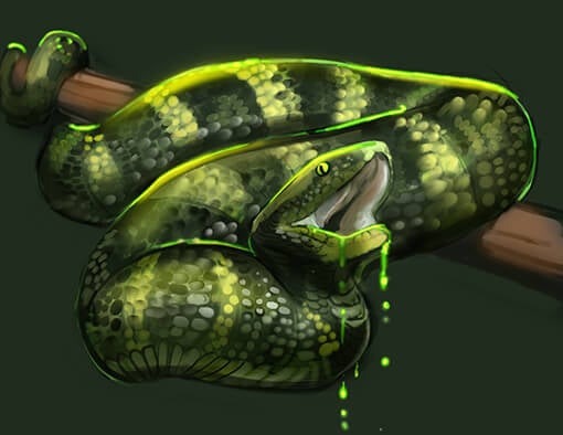 Temple Viper Perfume Oil
