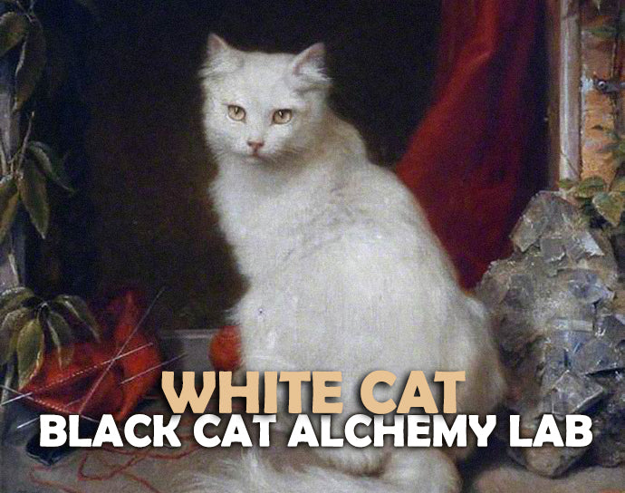 White cat in a classical painting setting with text overlay &