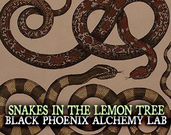 black phoenix alchemy lab snake oil