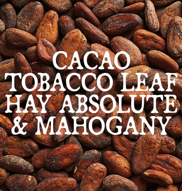 Decorative image for Cacao, Tobacco Leaf, Hay Absolute, and Mahogany, text against a background of cocoa beans