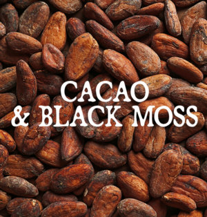 Decorative image for Cacao and Black Moss, text against a background of cocoa beans