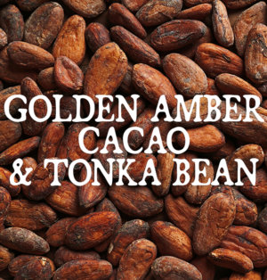 Decorative image for golden amber, cacao, and tonka bean, text against a background of cocoa beans