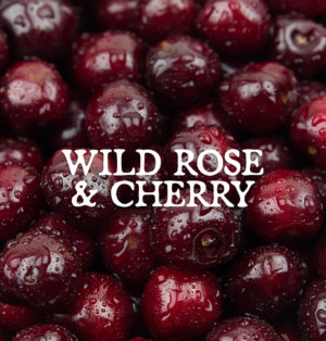 Decorative image for Wild Rose and Cherry, text against a background of cherries
